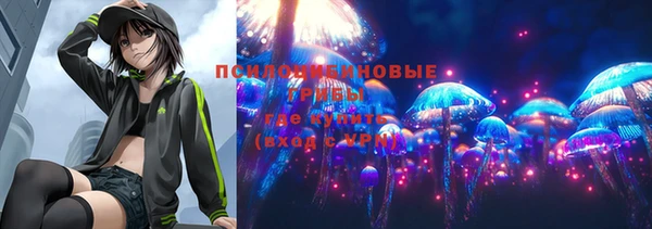 Альфа ПВП Нея