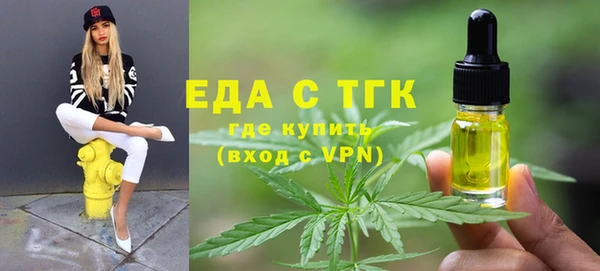 шишки Новодвинск