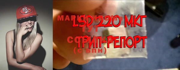 бошки Новозыбков