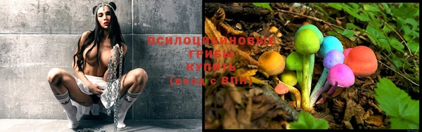 spice Нефтекумск