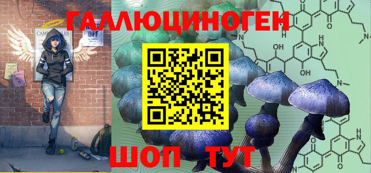 Южно-Сахалинск  Псилоцибиновые грибы Cubensis  Вход с VPN 